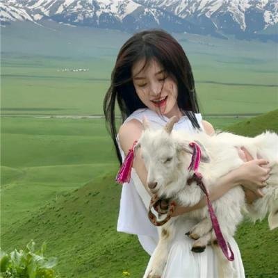 我推的孩子第二季